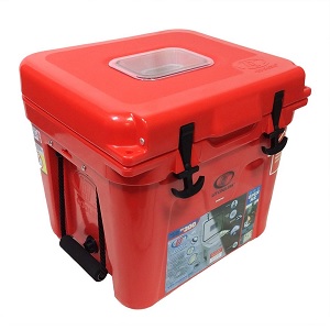 Lit cooler sales lights
