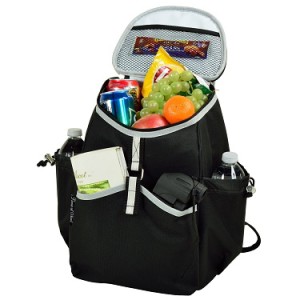 picnic at ascot cooler backpack review