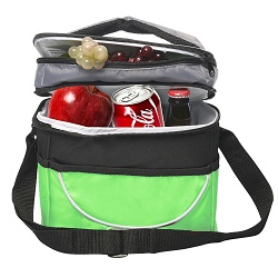 thermos elements insulated lunch bag