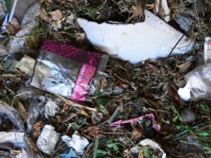 styrofoam environment