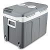 della thermoelectric cooler thumbnail