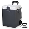 rockpals thermoelectric cooler thumbnail