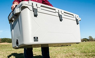 bison cooler in a field