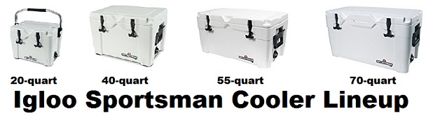 igloo sportsman cooler 55