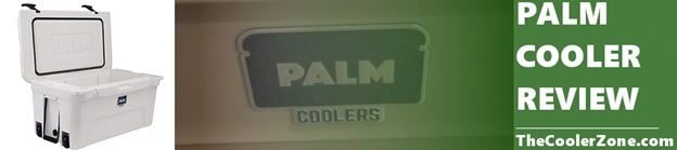 palm cooler review