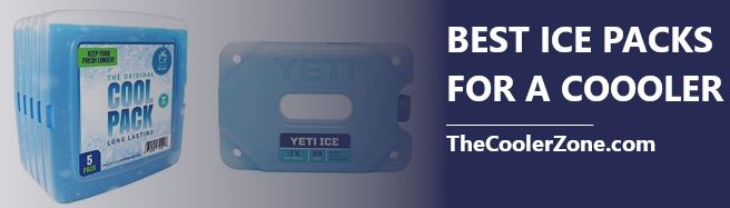 YETI ICE Reusable Cooler Ice Pack (4 LB (Blue))