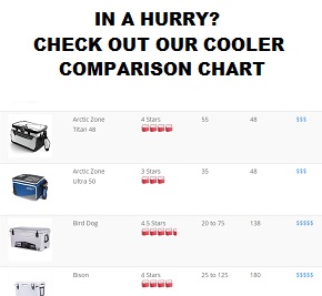 Simple Modern Cooler Review